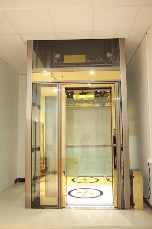 Golden Aluminium Alloy Structure Full Glass Sightseeing Panoramic Home Elevator