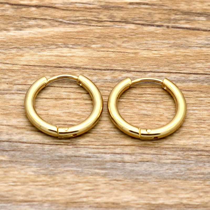 Delicate Stainless Steel Hoop Earring 18K Gold High Quality Women Earring Hook Earrings