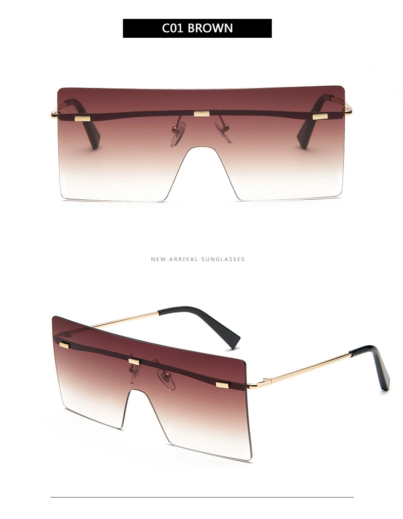 Factory Direct Sale Fashionable New Design Oversize PC Sunglasses (S2012)