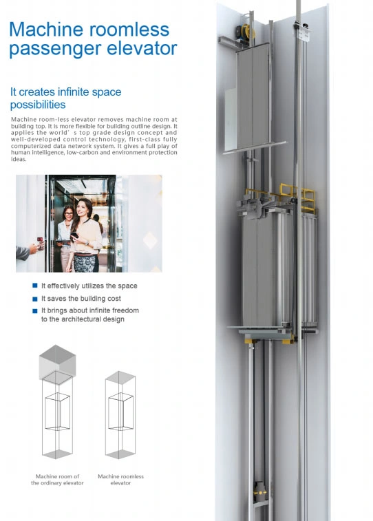 FUJI Vvvf 0.4m/S Home Elevator Cheap Small Sightseeing Villa Passenger Elevator Lift Panoramic/Observation Glass Elevator