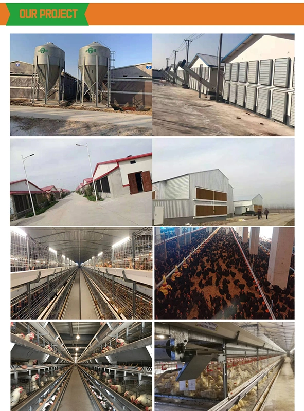 Poultry Farming Feed Unloading Feed Unloading Silo