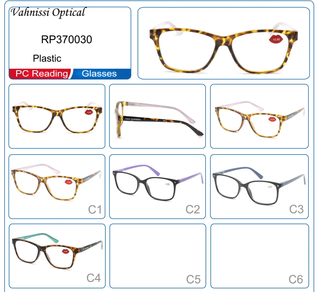 OEM Custom Design Tortoise Computer Reading Glasses for Women