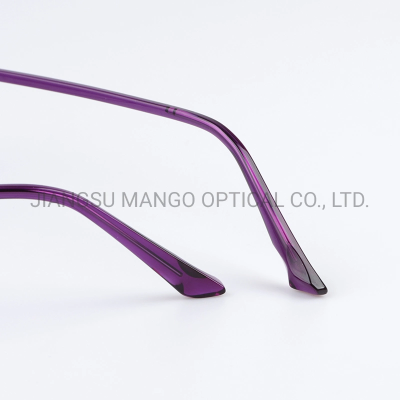 Circle Metal Frame Optical Glasses with Beauty Insert Core Temples Eyewear