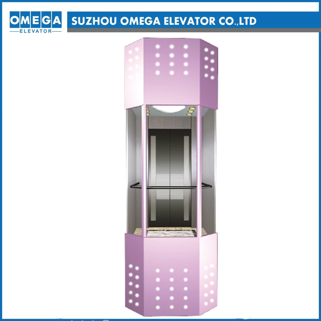 Hitachi Observation Sightseeing Glass Panoramic Elevator with Ard
