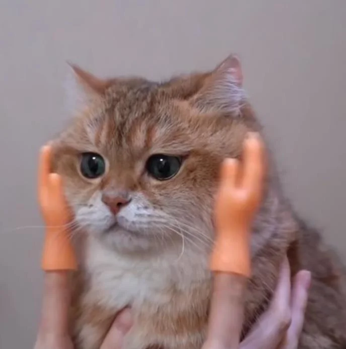 Funny Cat Finger Sets, Funny Little Hand Model, Massage Pet Supplies