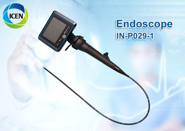 IN-P029-1 Digital Olympus Veterinary Nasal Endoscopy Camera Electronic Video Endoscope