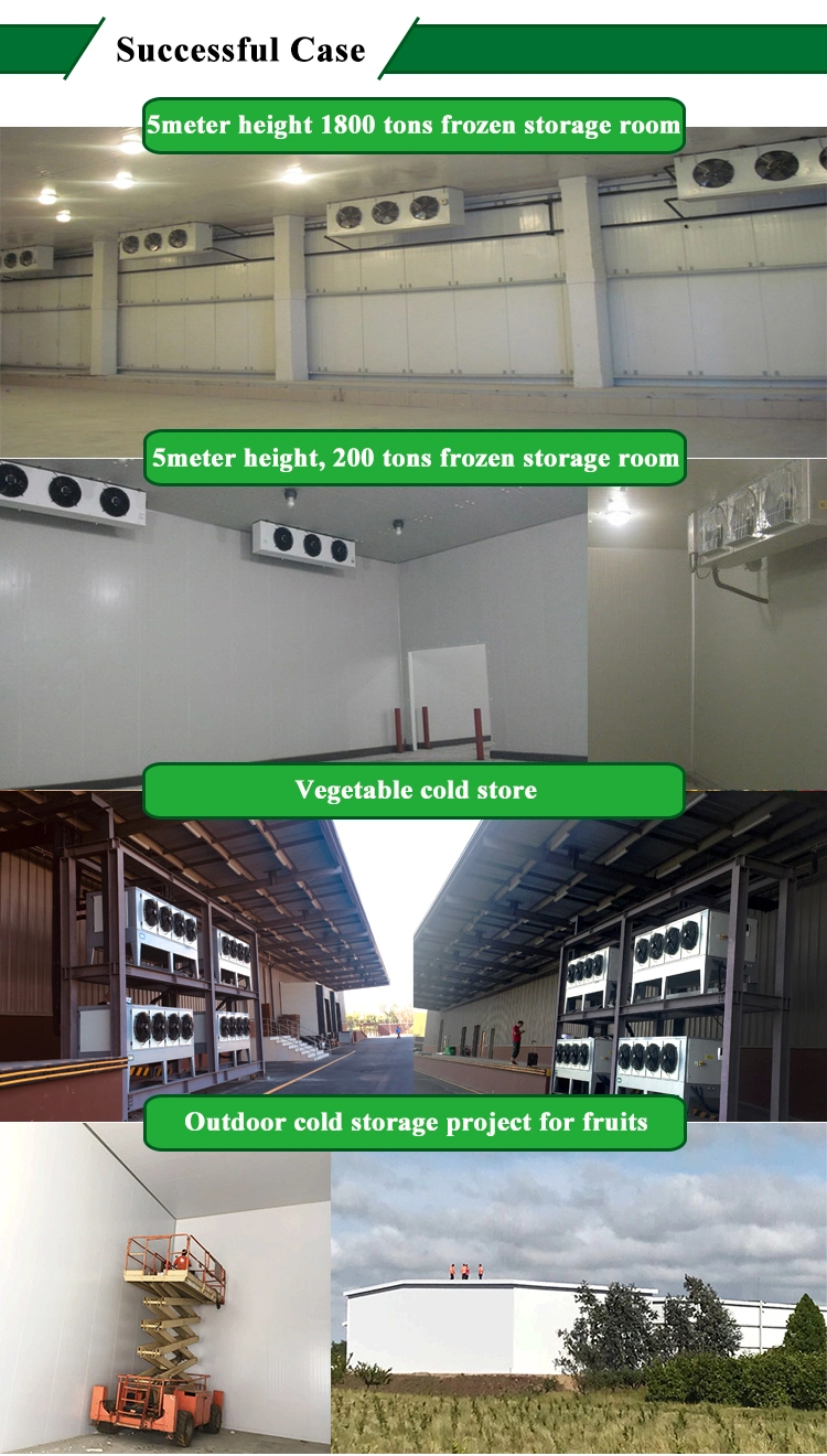 Chicken Parsley Cold Room China Cold Room Hinge Door Cold Room Equipment