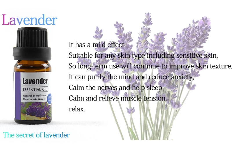 Natural Pure Essential Oil Gift Set Lavender Aromatherapy Essential Oil