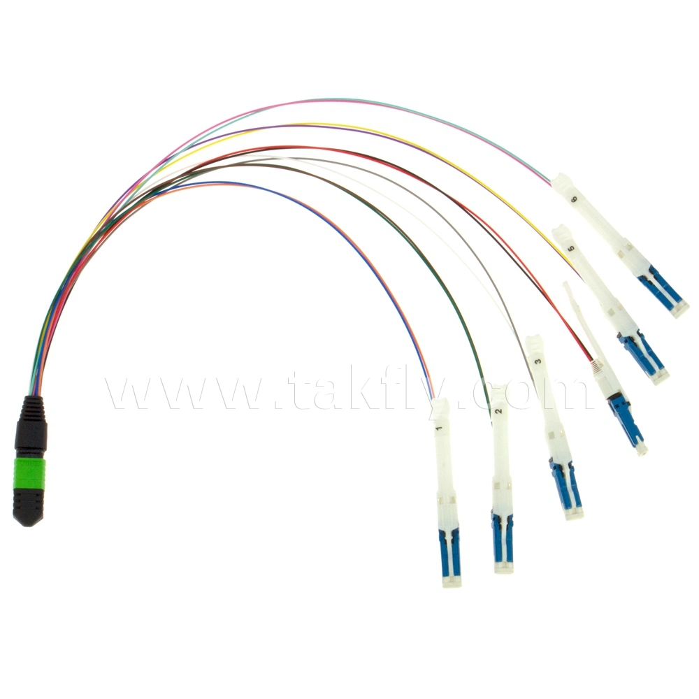 Fiber Optic Cable MPO-CS Sm mm Om3 Om4 Fiber Patch Cord