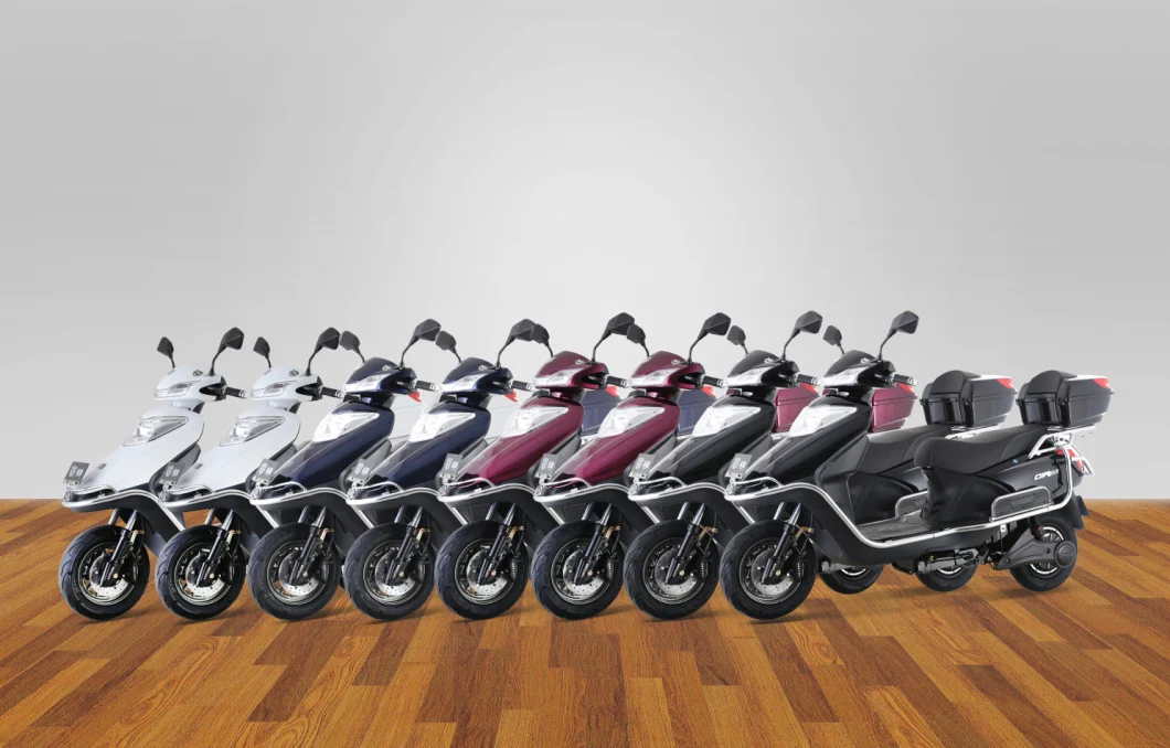 800W Powerful Long Range Big Carrier Electric Scooter (MIF)