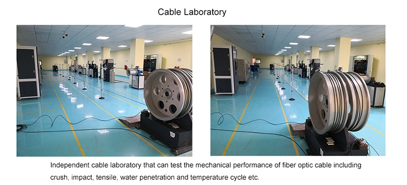 12-24 Cores MPO Hydra Cable Assemblies