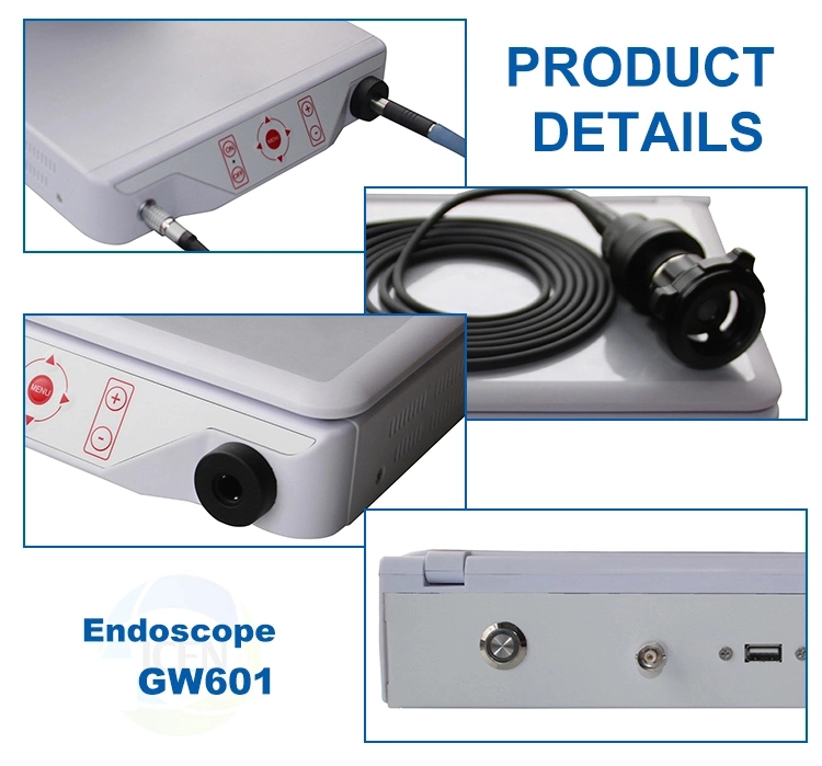 Medical Endoscopy Video Endoscope Ent Endoscope Medical Camera