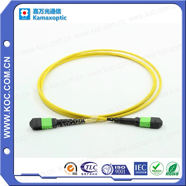 MTP-MTP Fiber Optic Patch-Cord