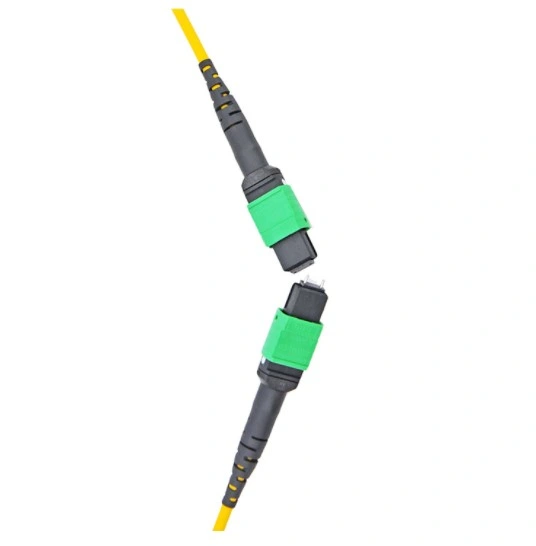 MPO/MTP Optical Fiber Trunk Cable Sm Om1 Om2 Om3 Om4 MPO Connector Patch Cord 12 /24 Fiber MPO Trunk Cable 8/12/16/24/32f MTP MPO 3.0/3.6 mm Cable