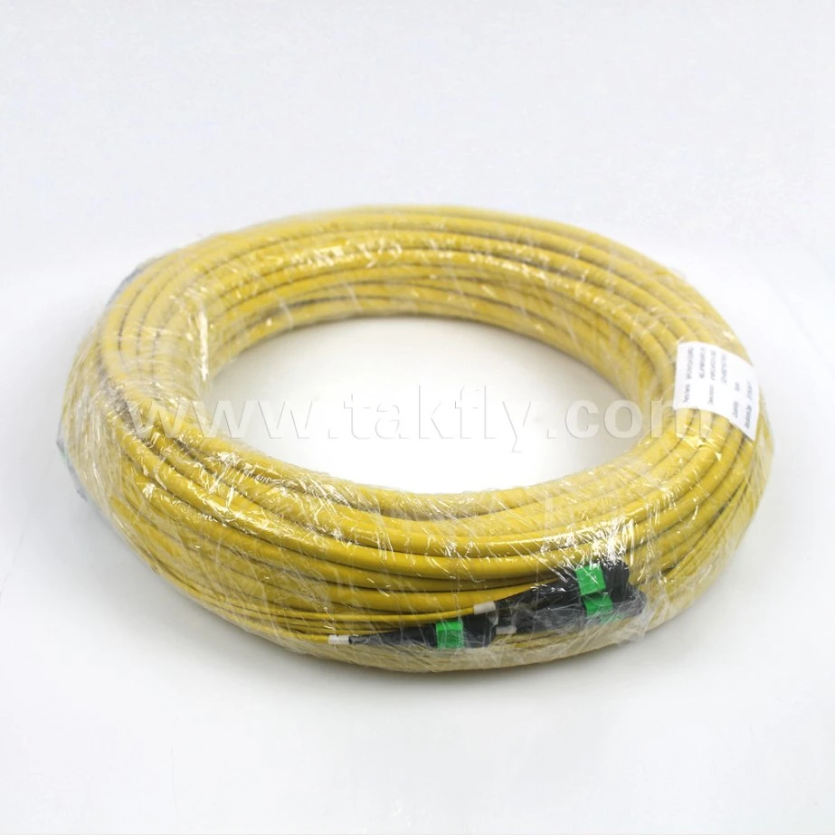 12 Cores Single Mode Fiber Optic MPO Trunk Cable