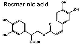 Natural 5% Rosmarinic Acid Lemon Balm Extract for Food and Cosmetics