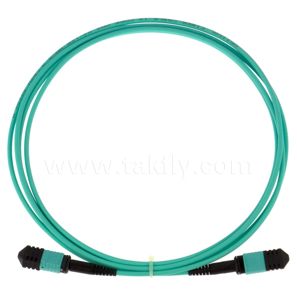 Cable Connector MPO-MPO/MTP mm Om3 Om4 Fiber Patch Cord