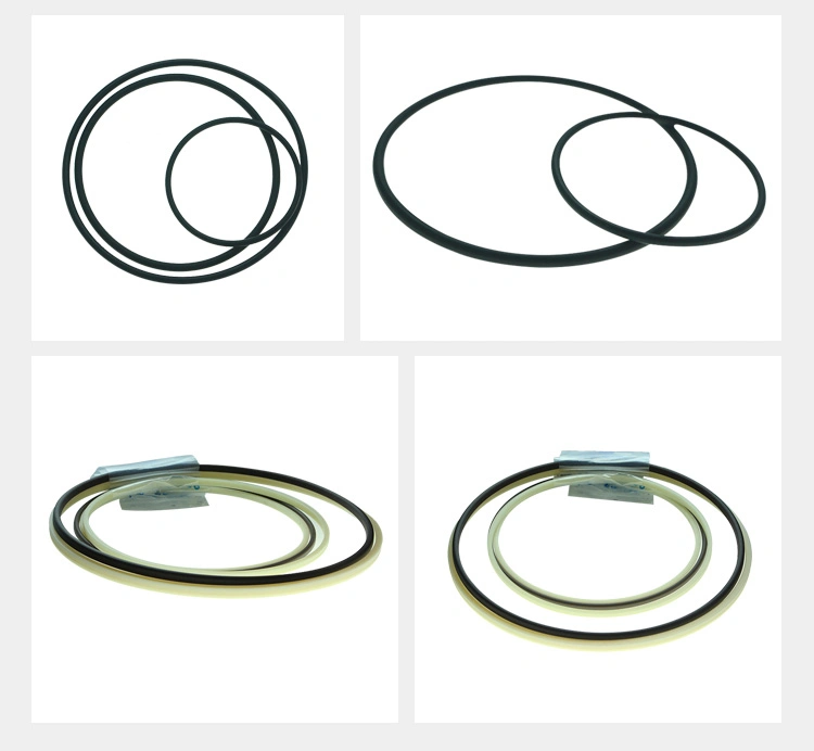 High Quality Plastic Seal Ring PPSU1000 PSU1000 Seal Ring
