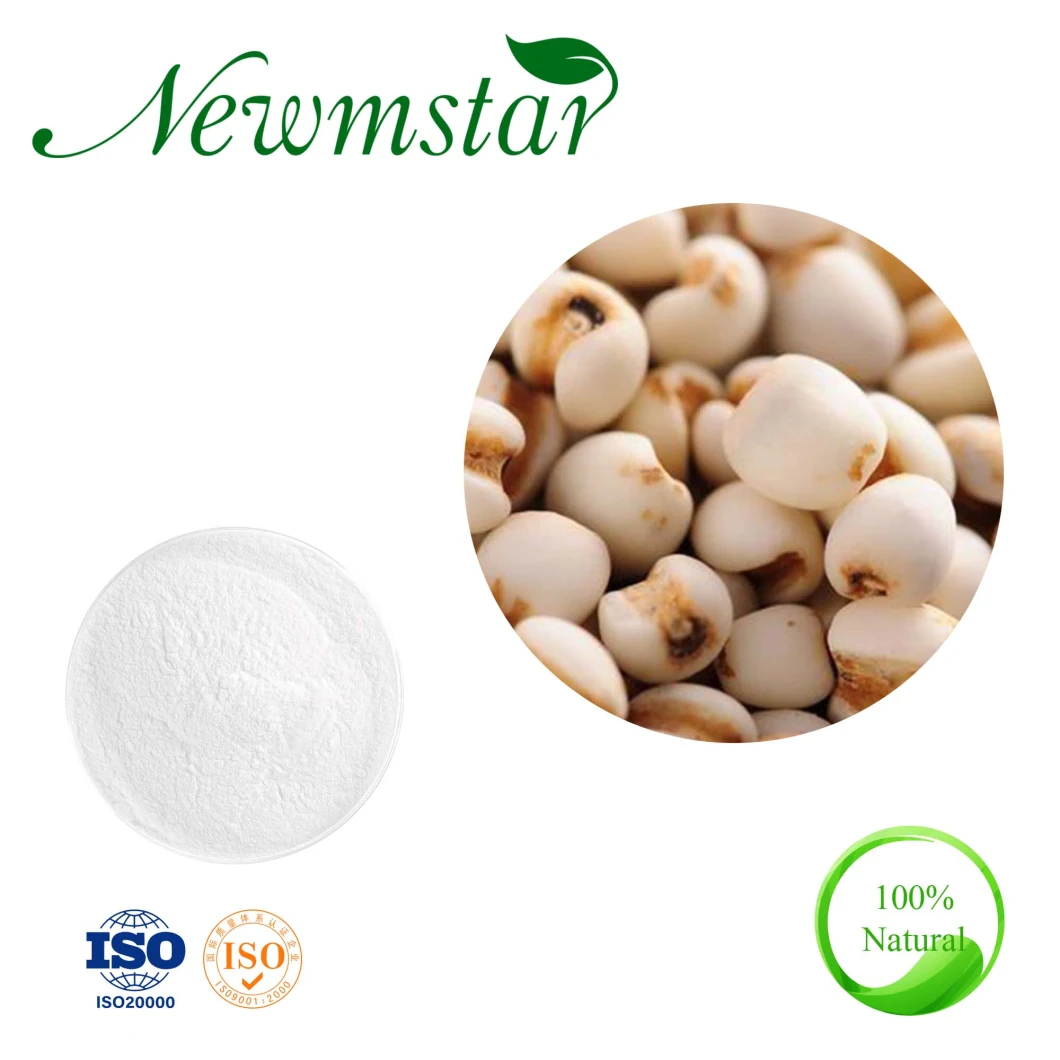 Organic High Quality Coix Seed Extract Semen Coiois Extract for Food Supplement