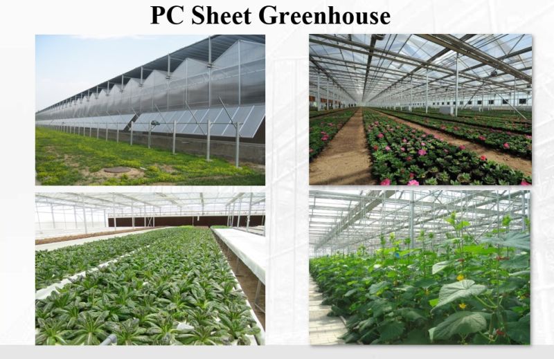 Agriculture/Vegetable Solar Film Greenhouse with Hydroponics/Aquaponic/Automatic Climate Control for Tomato/Flower/Strawberry/Farm/Cucumber/Lean to Greenhouse