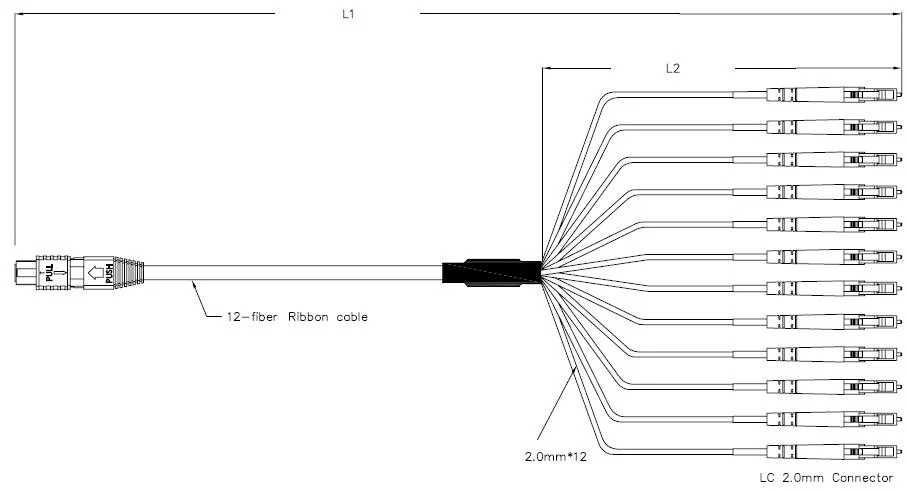 12-24 Cores MPO Hydra Cable Assemblies