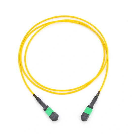 MPO/MTP Optical Fiber Trunk Cable Sm Om1 Om2 Om3 Om4 MPO Connector Patch Cord 12 /24 Fiber MPO Trunk Cable 8/12/16/24/32f MTP MPO 3.0/3.6 mm Cable