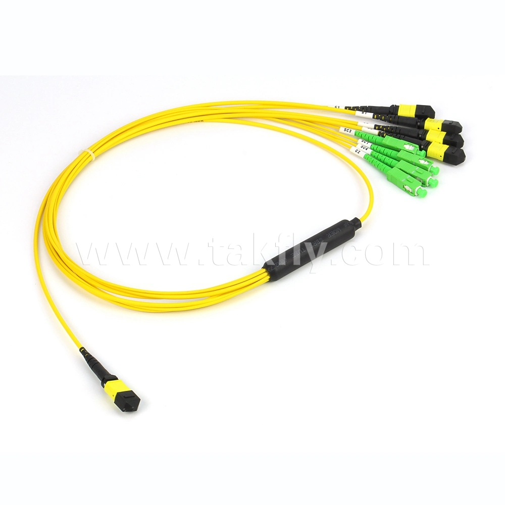 Optical Fiber Cable MPO-LC mm Sm Fiber Optic Patchcord