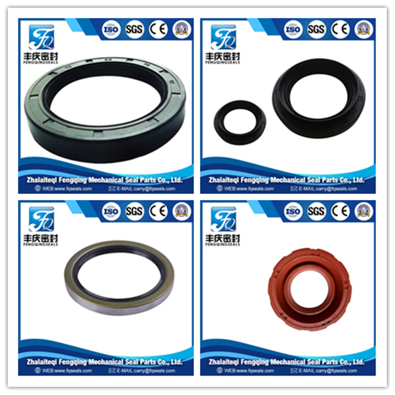Spare Parts Seal Hydraulic Oil Seal Tc Runbber NBR Ring