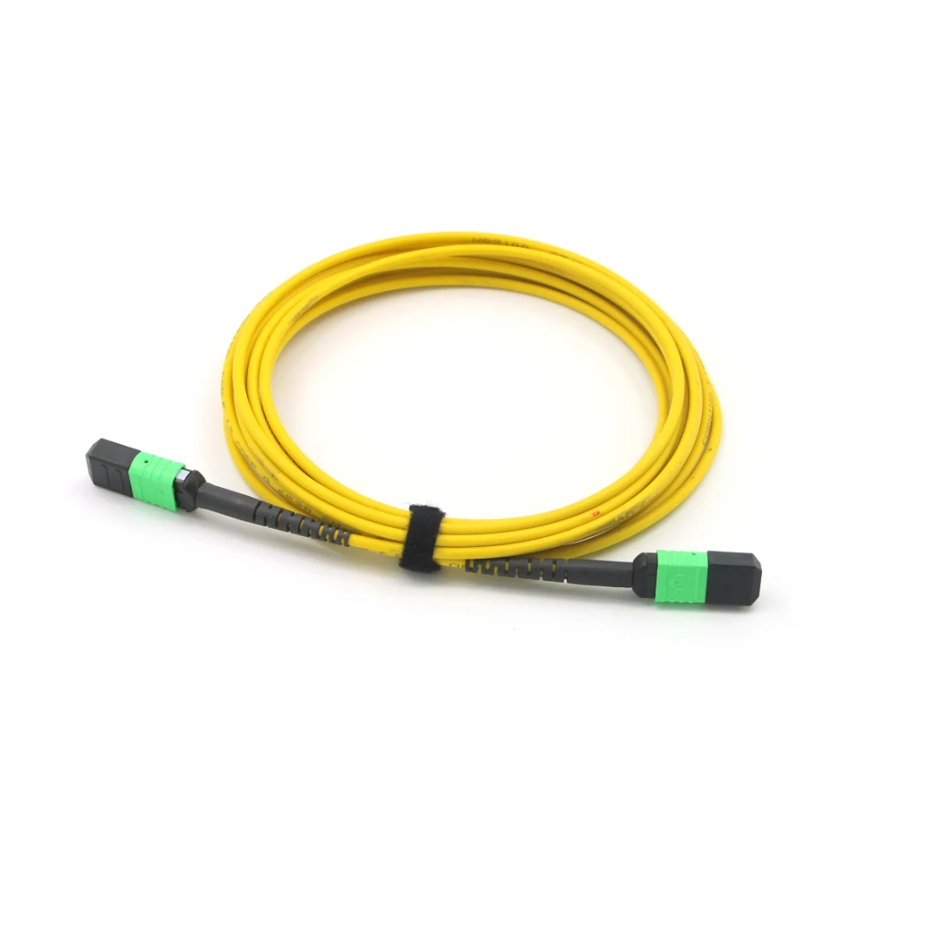 MPO Multi-Fiber Assemblies Jumpers for Data Center