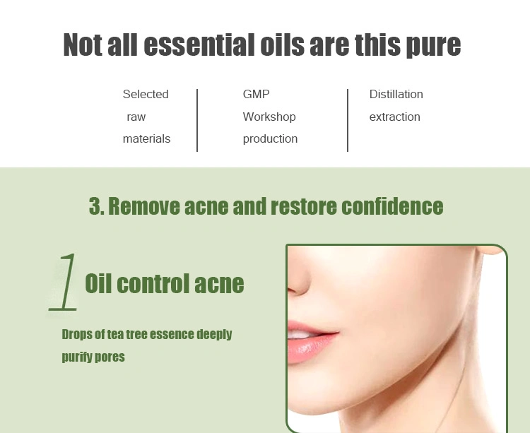 Cosmetics Pure Essential Oil Perfume Daily Flavoring Tea Tree Oil