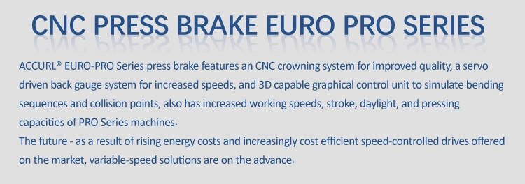 Press Brake Machine Wc67y-100t/4000 CNC Bending Machine Price