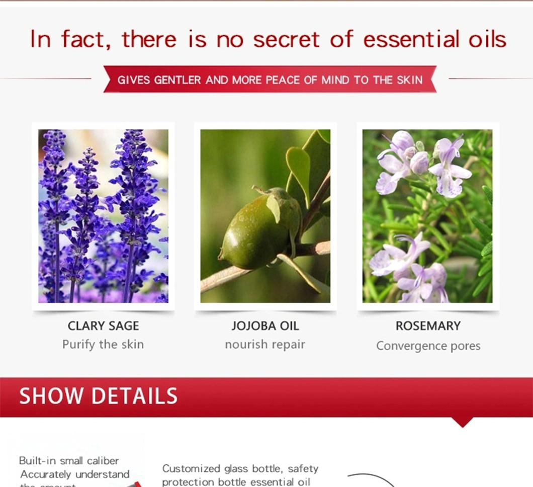 Wholesale 100% Pure and Natural Essential Oil Sage Essential Oil