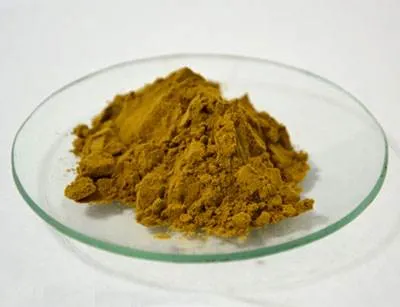 Ursolic Acid 20% Carnosic Acid 20% Rosmarinus Officinalis Rosemary Extract