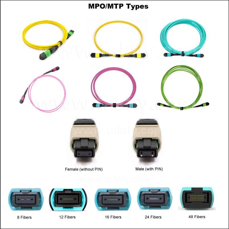 12 Core MPO Armored Cable Multi Mode Om4 50/125 Magenta Fiber Optic MPO Patchcord