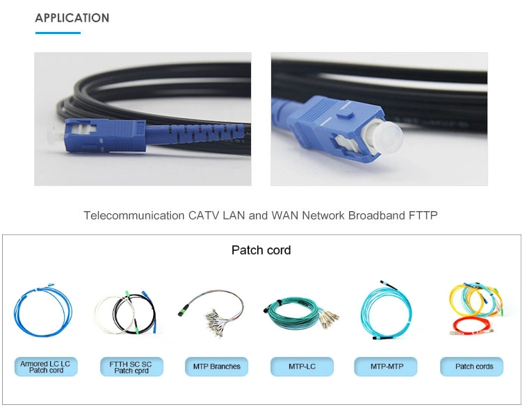 Fiber Optic Cable Patch Cord LC Duplex Sm or mm PVC/LSZH/Ofnp Jacket Patch Cord