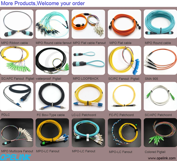 MTP/MPO-LC Round Fiber Cable Fanout 2.0mm Singlemode Fiber Optic Patch Cable