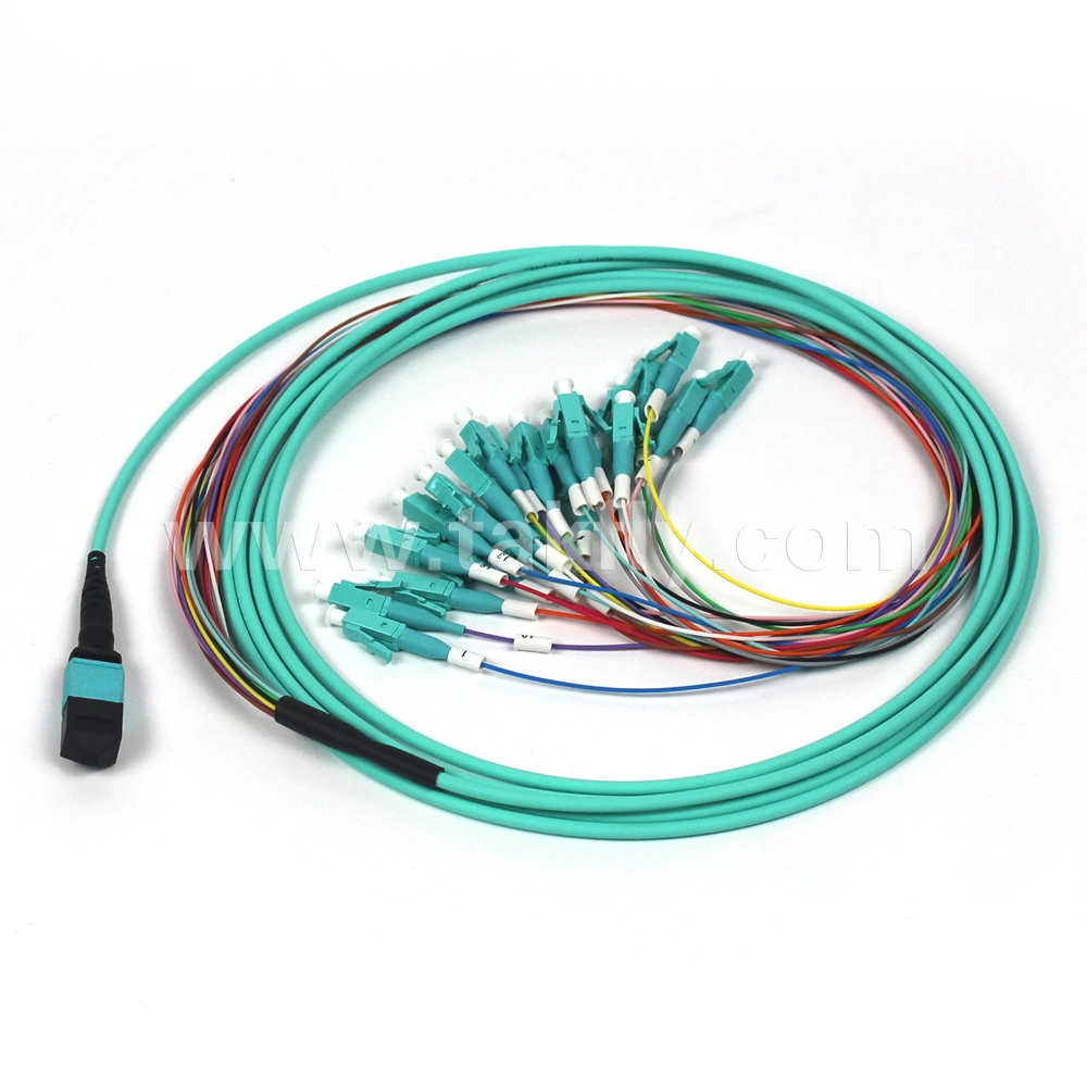 CPR Eca 12/24 Cores MPO/MTP Sm Om3 Om4 Fiber Optic Breakout/Fanout Cable
