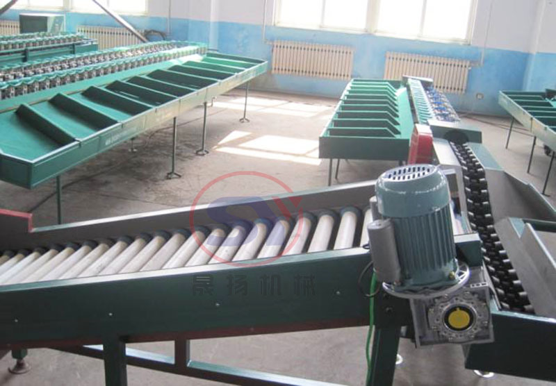 High Efficiency Multistage Mango Weight Grading Machine Vegetable Kiwi Fruit Sorting