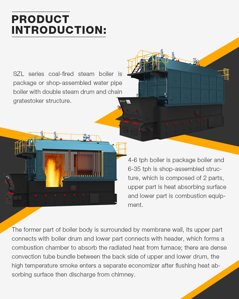 6000kg/H Assembled Chain Coal Fired Water Tube Steam Heater