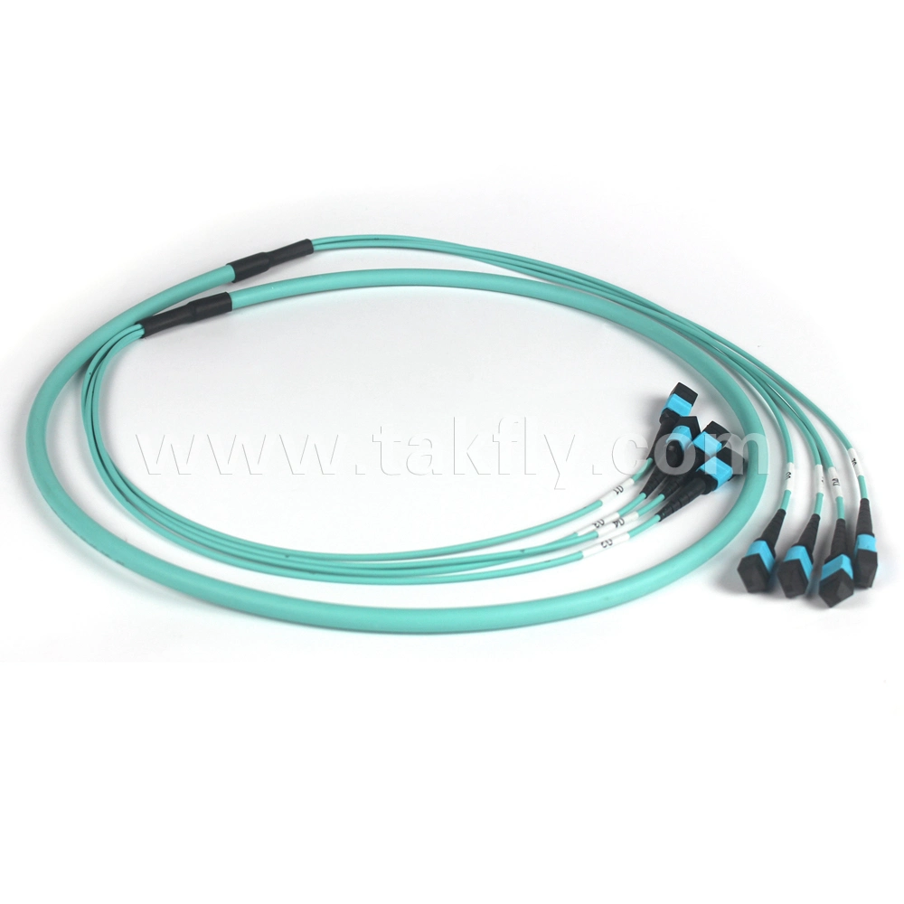 Cable Connector MPO-MPO/MTP mm Om3 Om4 Fiber Patch Cord