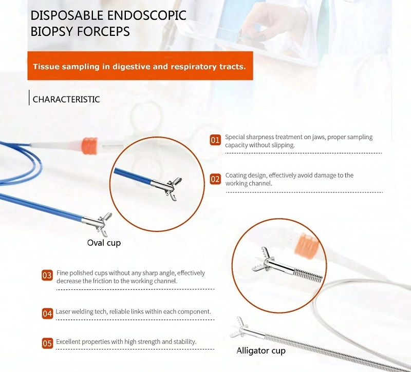 Factory Direct Supply Disposable Sterile Endoscopy Biopsy Forceps for Medical Use