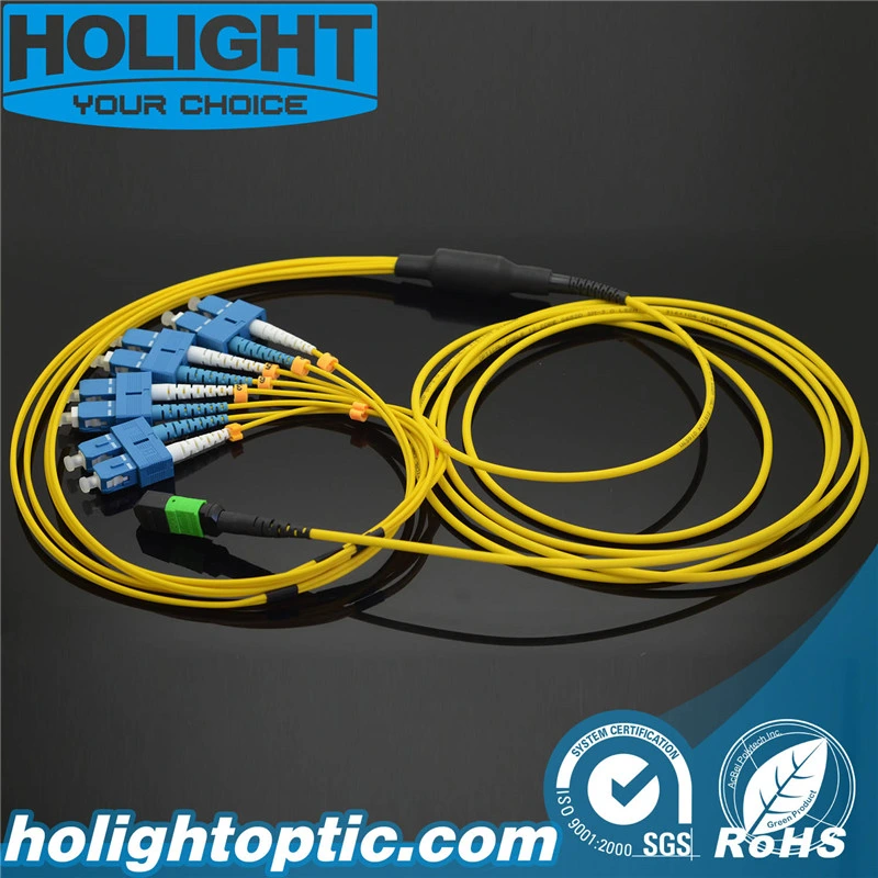 8 Core MPO/MTP to Sc Single Mode Fiber Optic Patch Cables