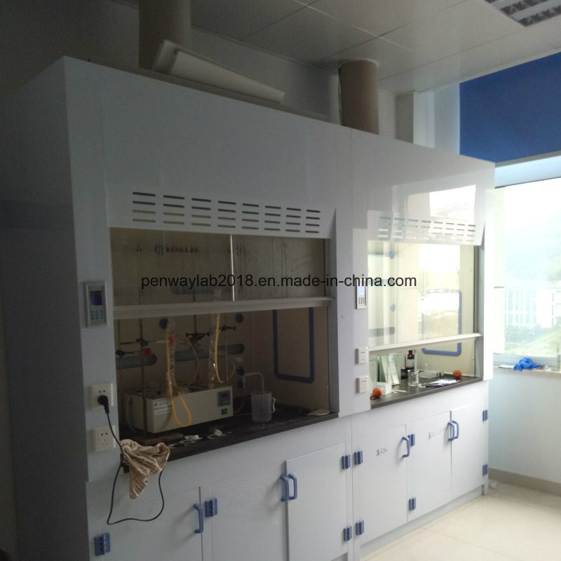 Chemical Fume Hood Safety PP Fume Cupboard