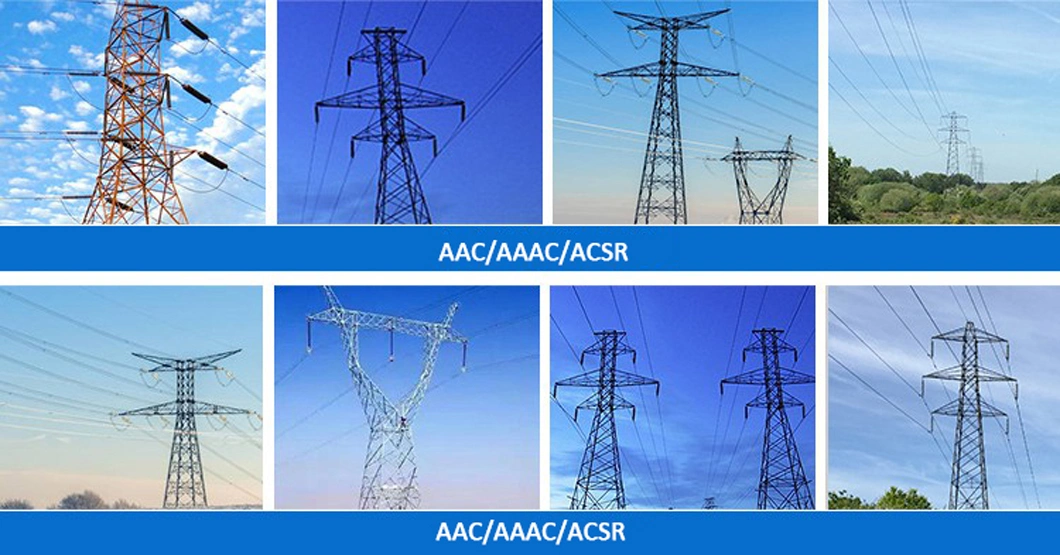 Hot Sale ACSR Bare Conductor ACSR Moose 500mm2 Bare Overhead Conductor with Supplier Price
