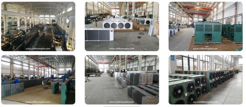 Cold Room Condenser Unit/Refrigeration Unit for Potato