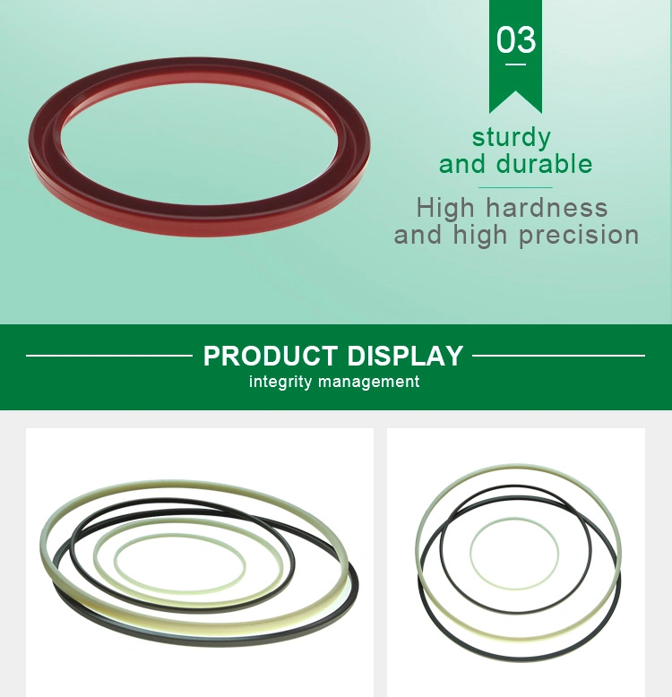 High Quality Plastic Seal Ring PPSU1000 PSU1000 Seal Ring