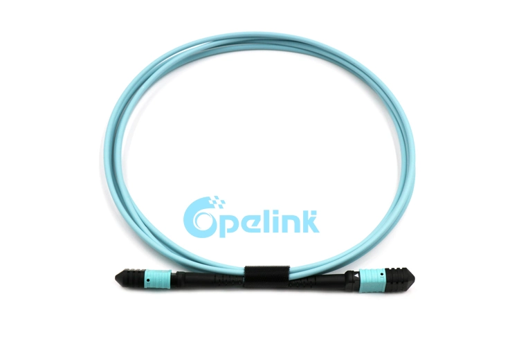 MPO/MTP 12 Cores Sm Round Cable Fiber Optic Patchcord