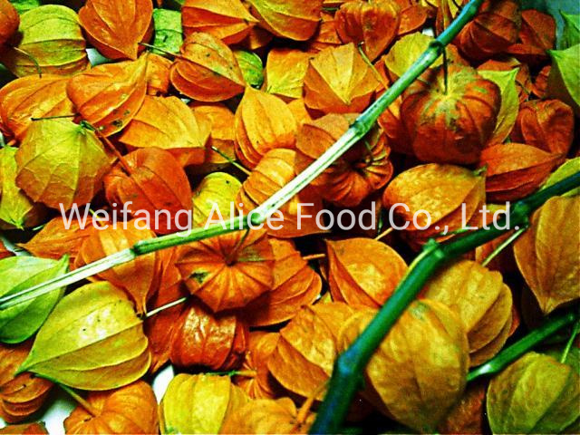 Wholesale Dried Ground-Cherry Price Dried Cape Gooseberry Dry Physalis