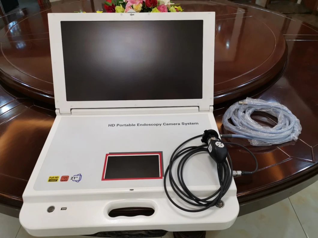 Portable HD Ent Endoscope Surgical Camera with LED Light Source for Medical Ent