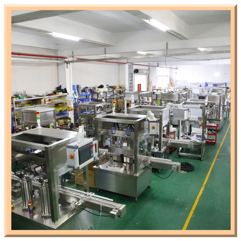 Full Automatic Double-Head Liquid Filling Machine for Complete Bottled Laundry Liquid